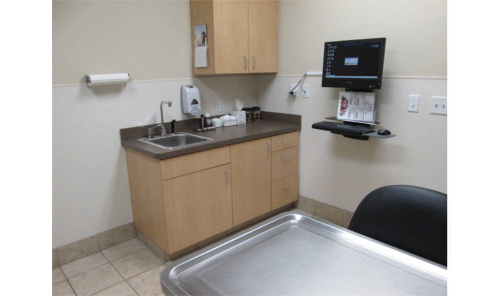 Eagle Animal Clinic Exam Area