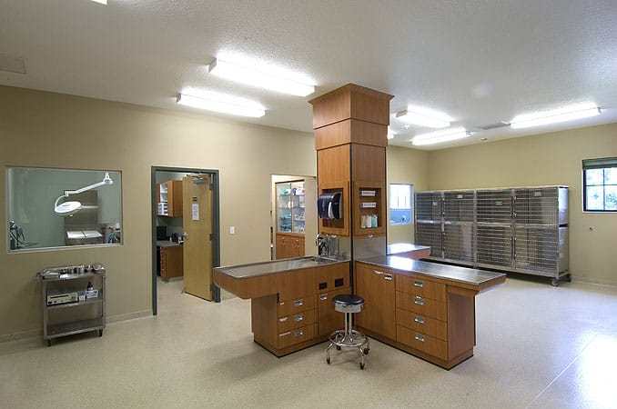 Braden River Animal Hospital Treatment Area