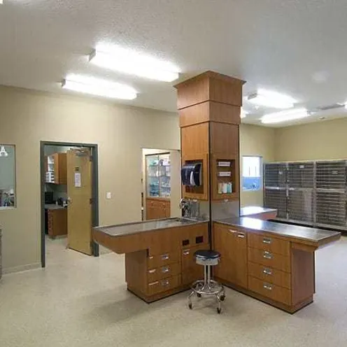 Braden River Animal Hospital Treatment Area Braden River Animal Hospital Treatment Area