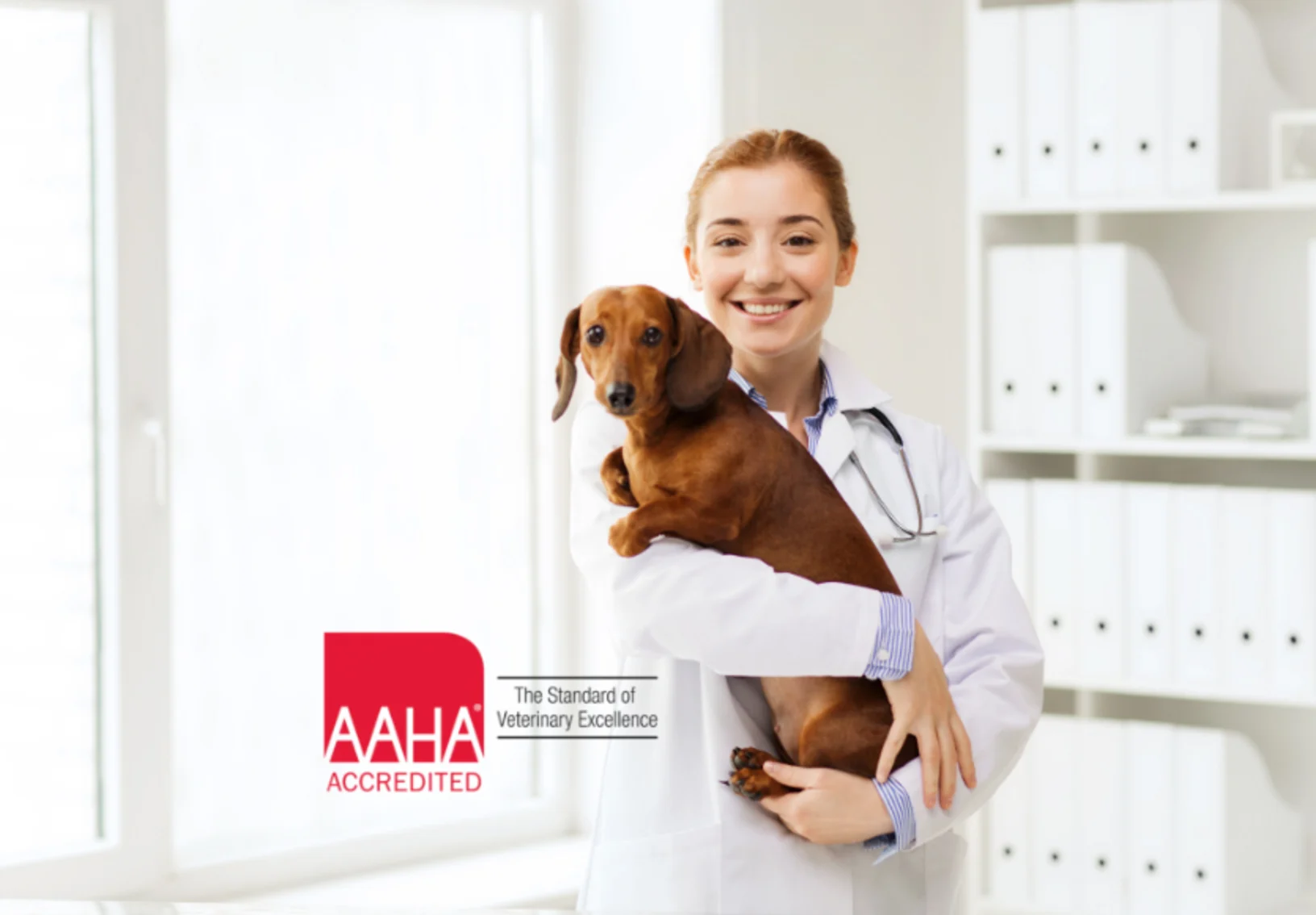 AAHA logo at Animal Emergency Clinic of the Fraser Valley AAHA logo at Animal Emergency Clinic of the Fraser Valley