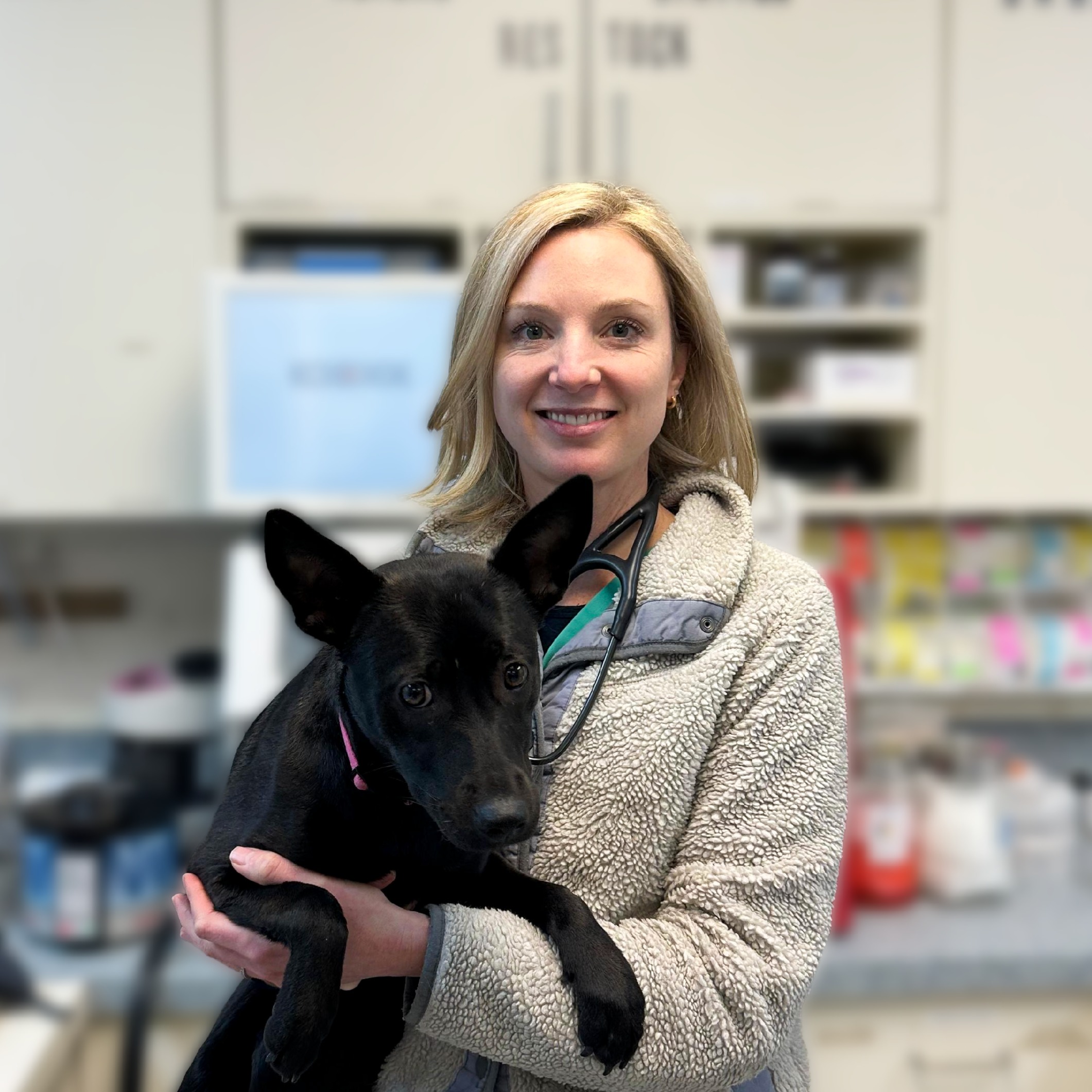 Alexis Holroyde, DVM