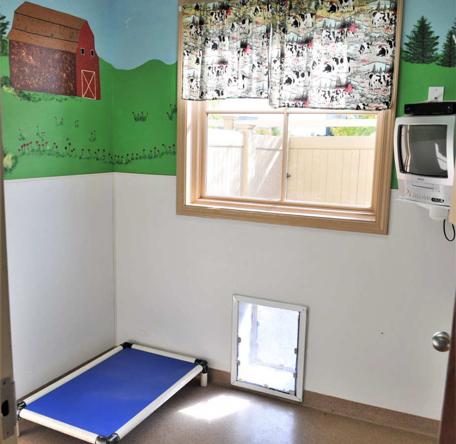 Farm themed boarding room