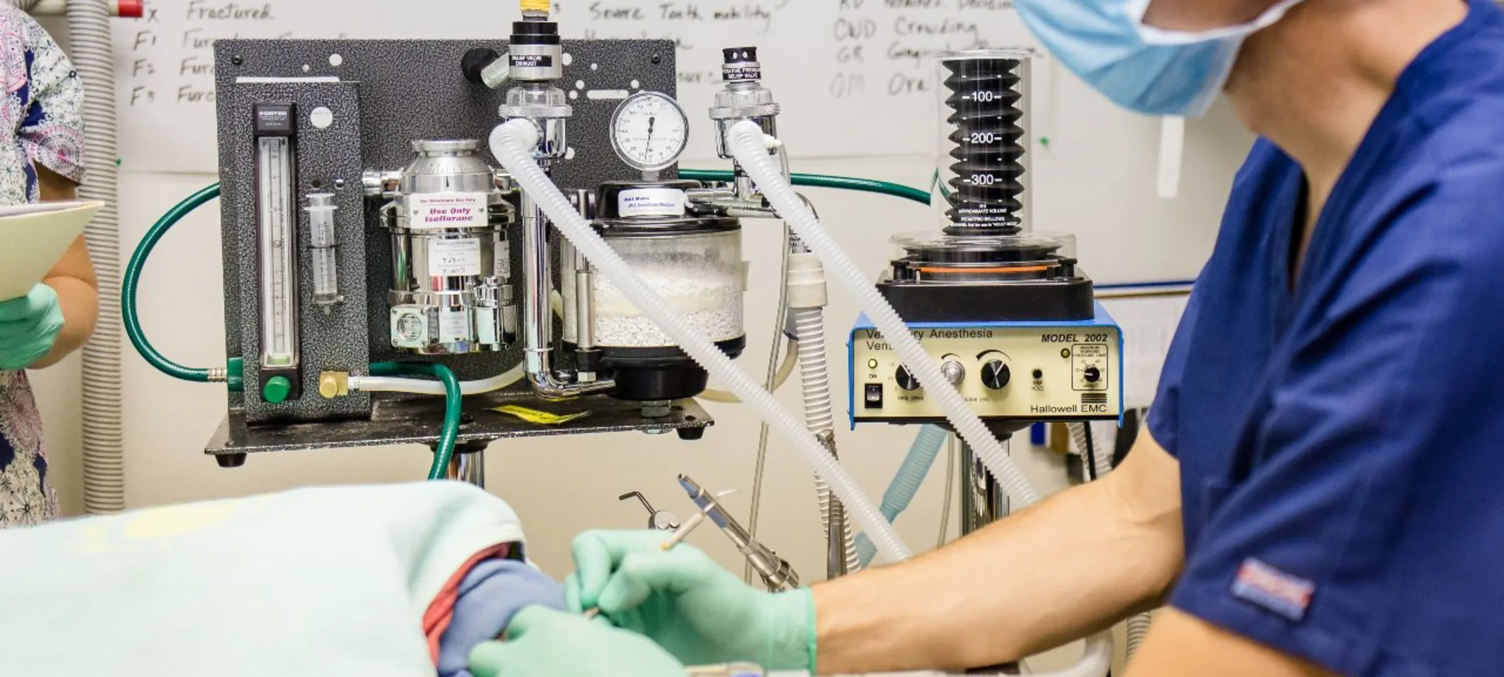 Minimally Invasive Procedures at East Springs Animal Hospital. Minimally Invasive Procedures at East Springs Animal Hospital.