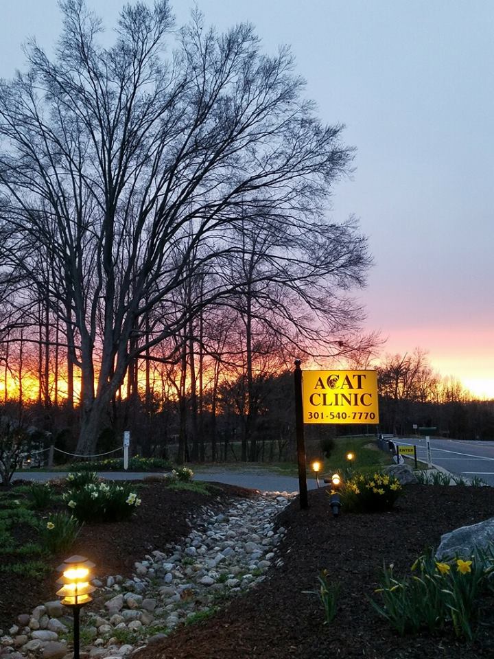A Cat Clinic front sign with a sunset background 