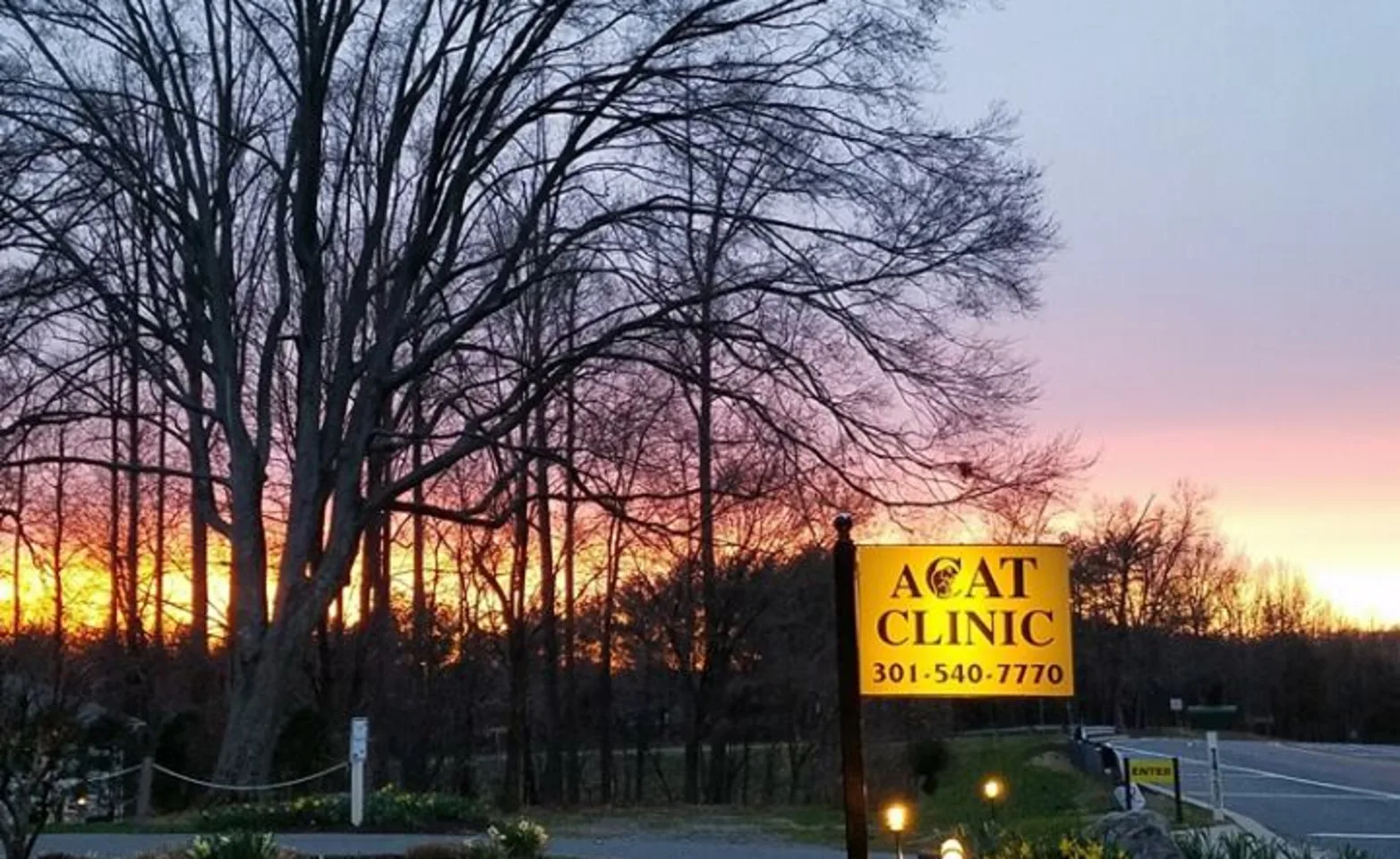 A Cat Clinic front sign with a sunset background A Cat Clinic front sign with a sunset background