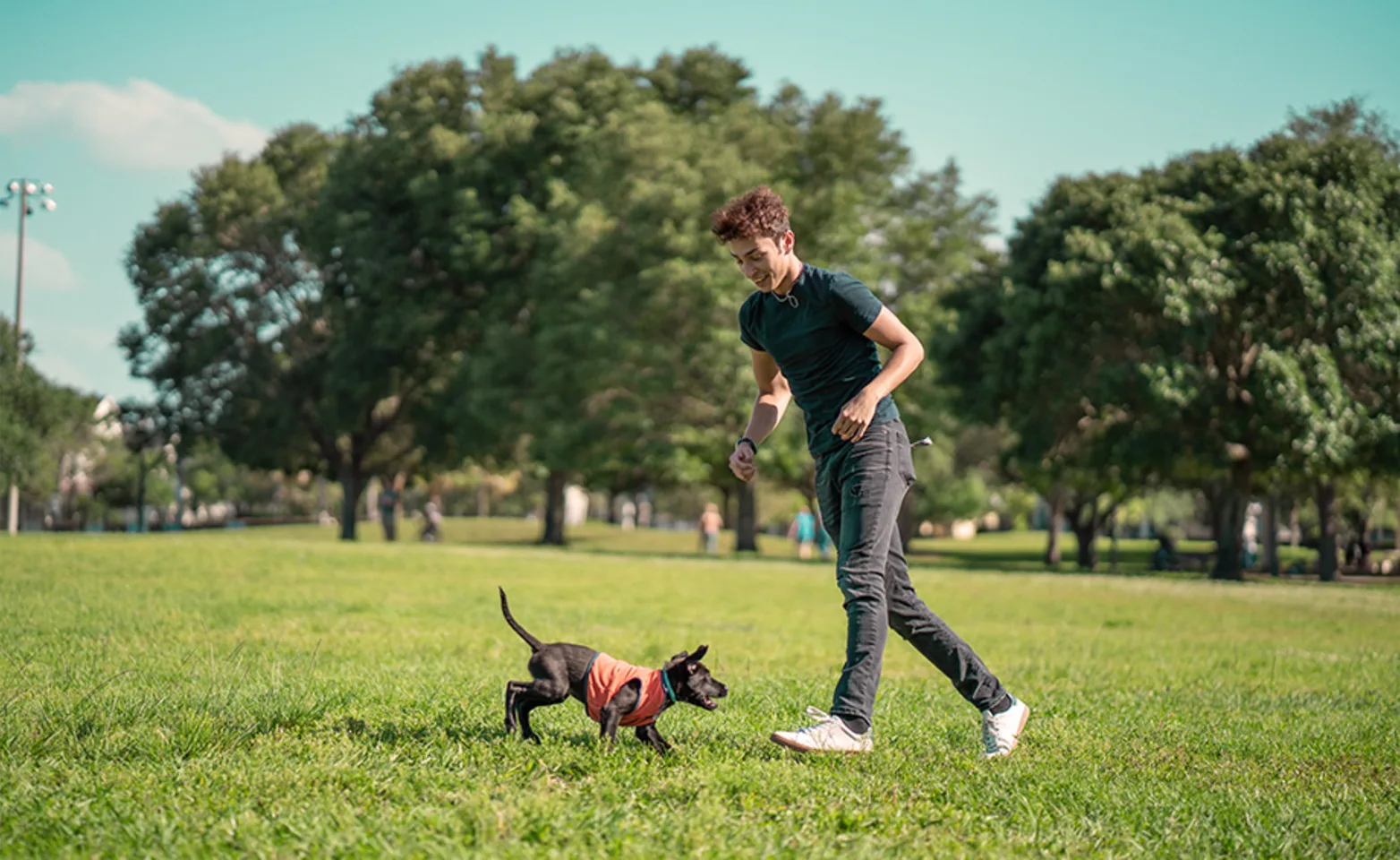 A man and dog playing in a park A man and dog playing in a park