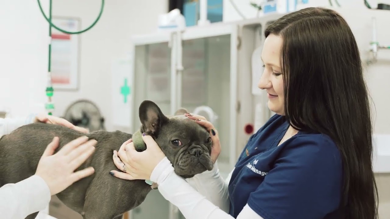 Thumbnail for Northfield recruitment video