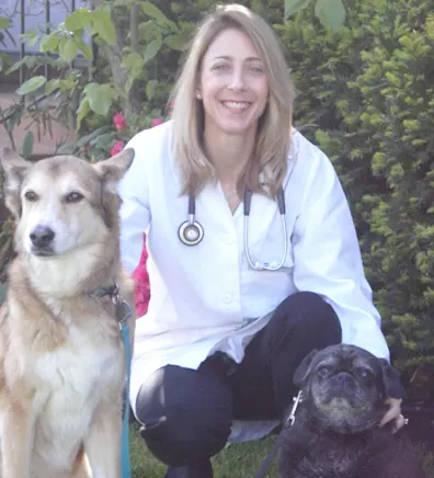 Dr. Julie Dobslaw Dr. Julie Dobslaw