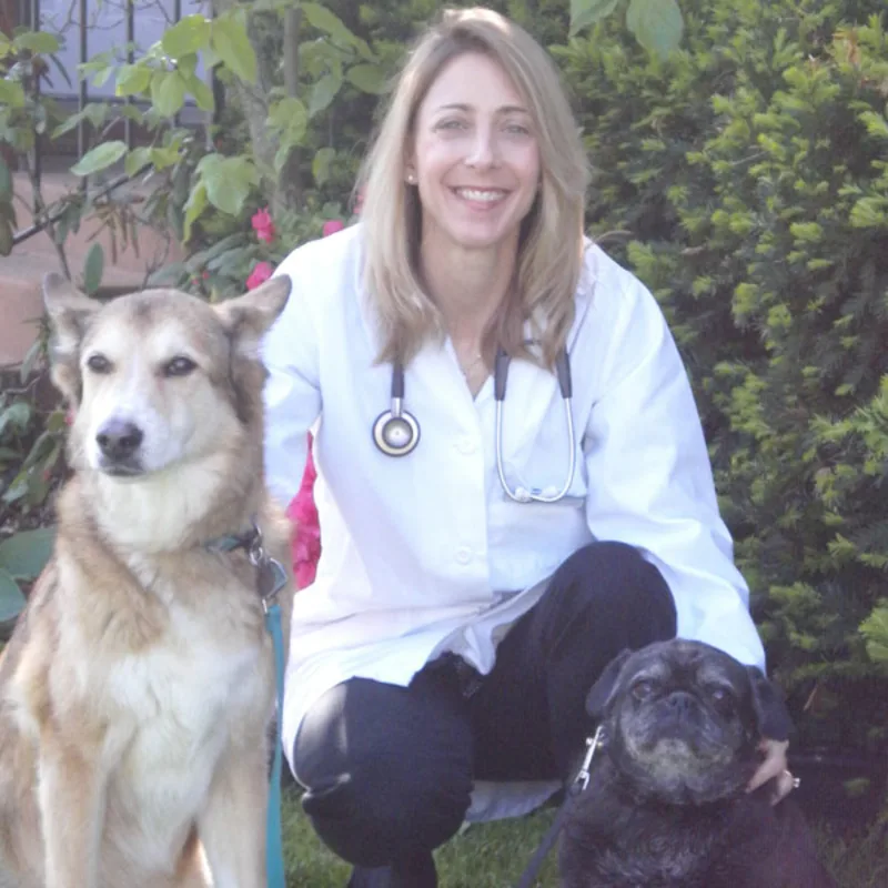 Dr. Julie Dobslaw Dr. Julie Dobslaw