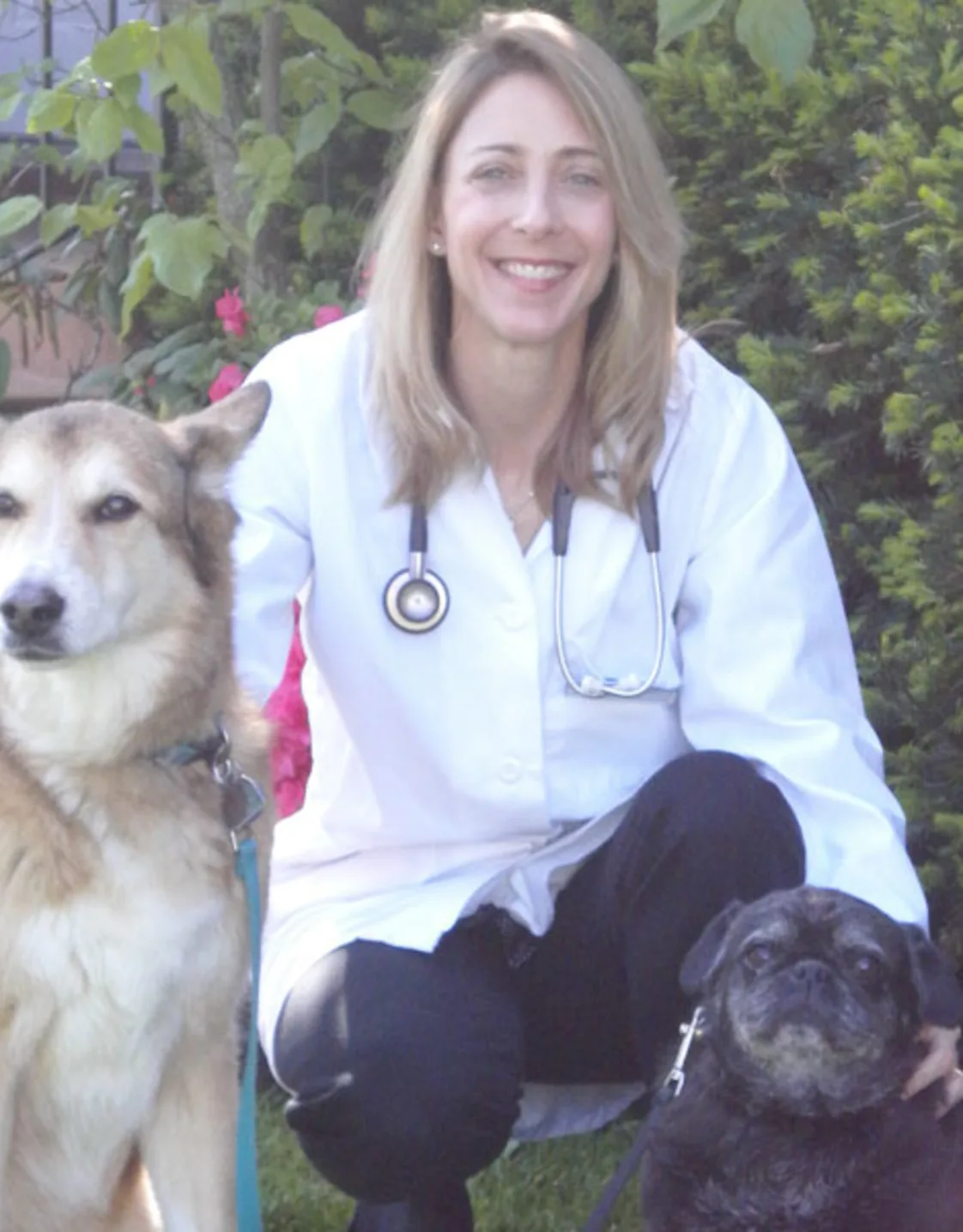 Dr. Julie Dobslaw Dr. Julie Dobslaw
