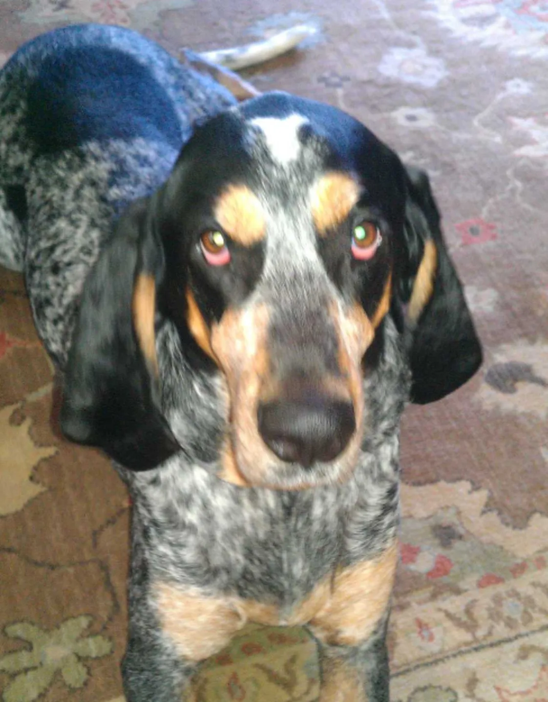 George Hewitt George Hewitt