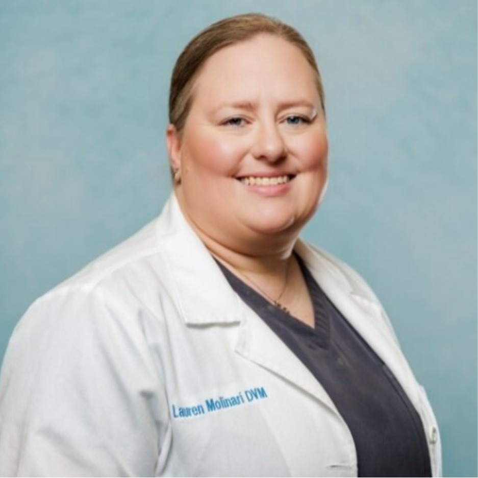 Lauren Williams Molinari