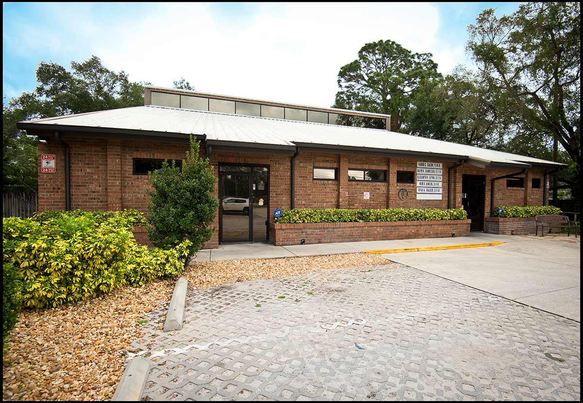 Veterinary Care in Tampa, FL | Ehrlich Animal Hospital & Arthritis Therapy  Center