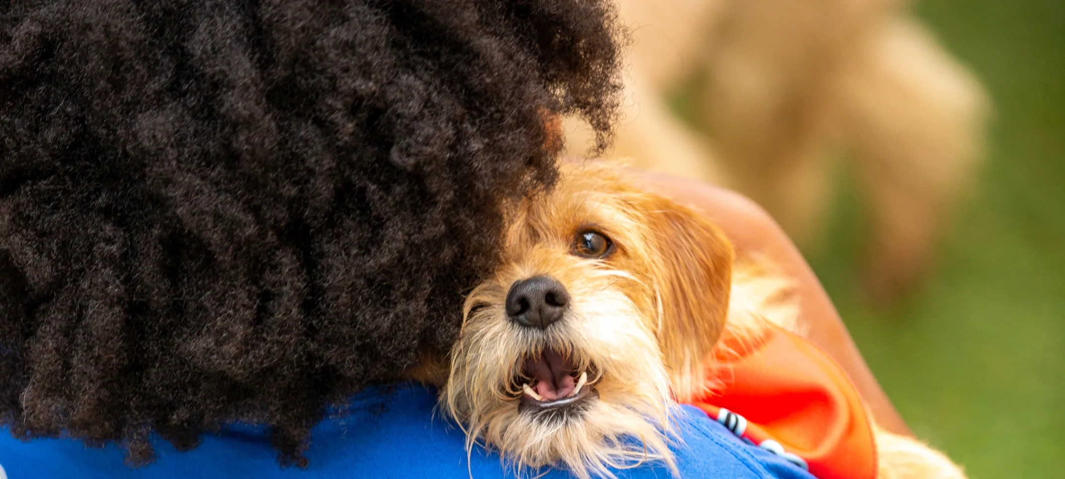 dog hugging staff 