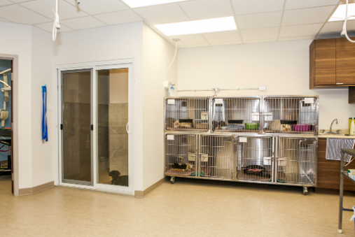 Treatment Room Kennels