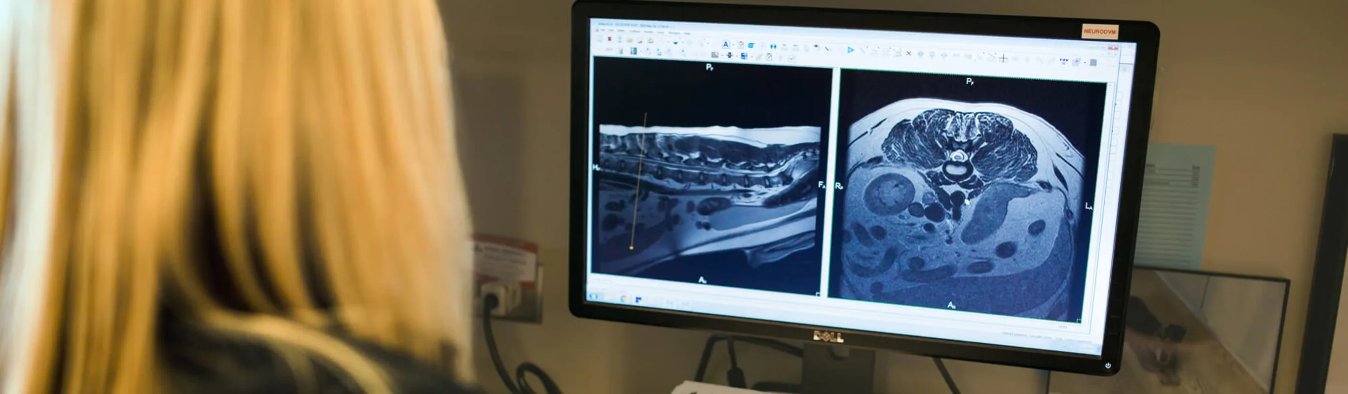 Vet looking at x-rays on a computer screen Vet looking at x-rays on a computer screen