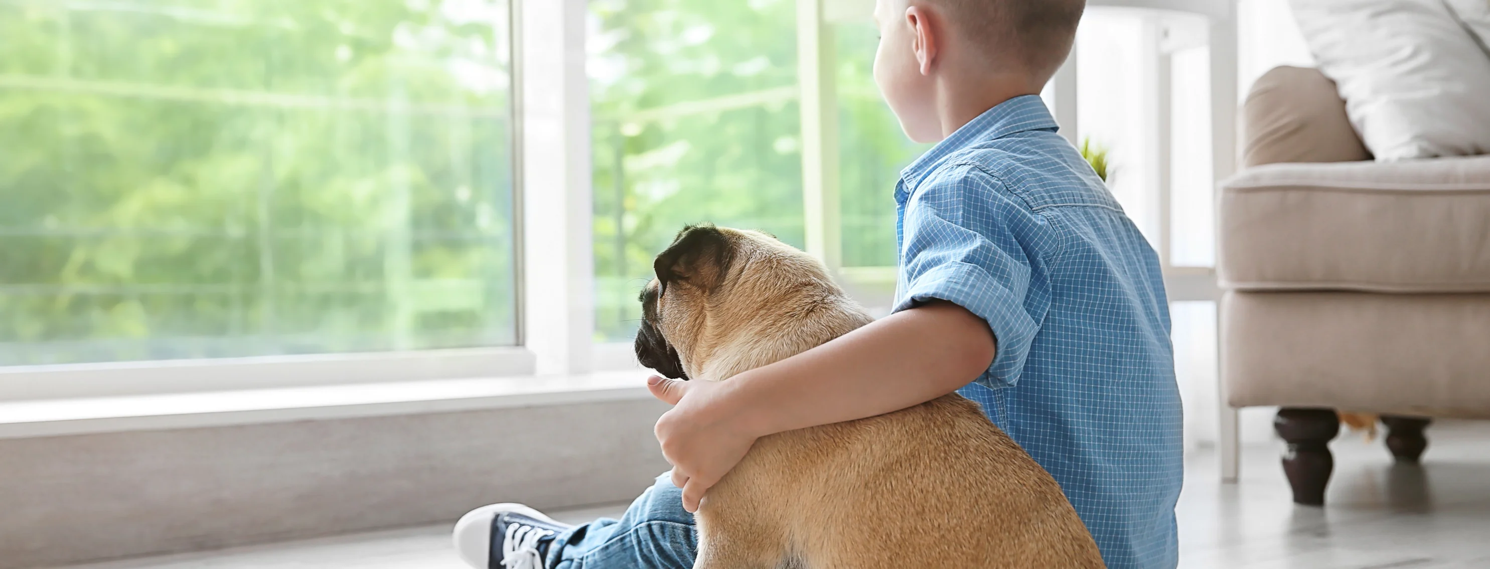 boy and dog look out a window