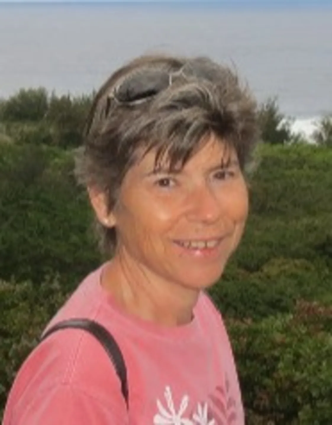 Dr. Herczegh Dr. Herczegh
