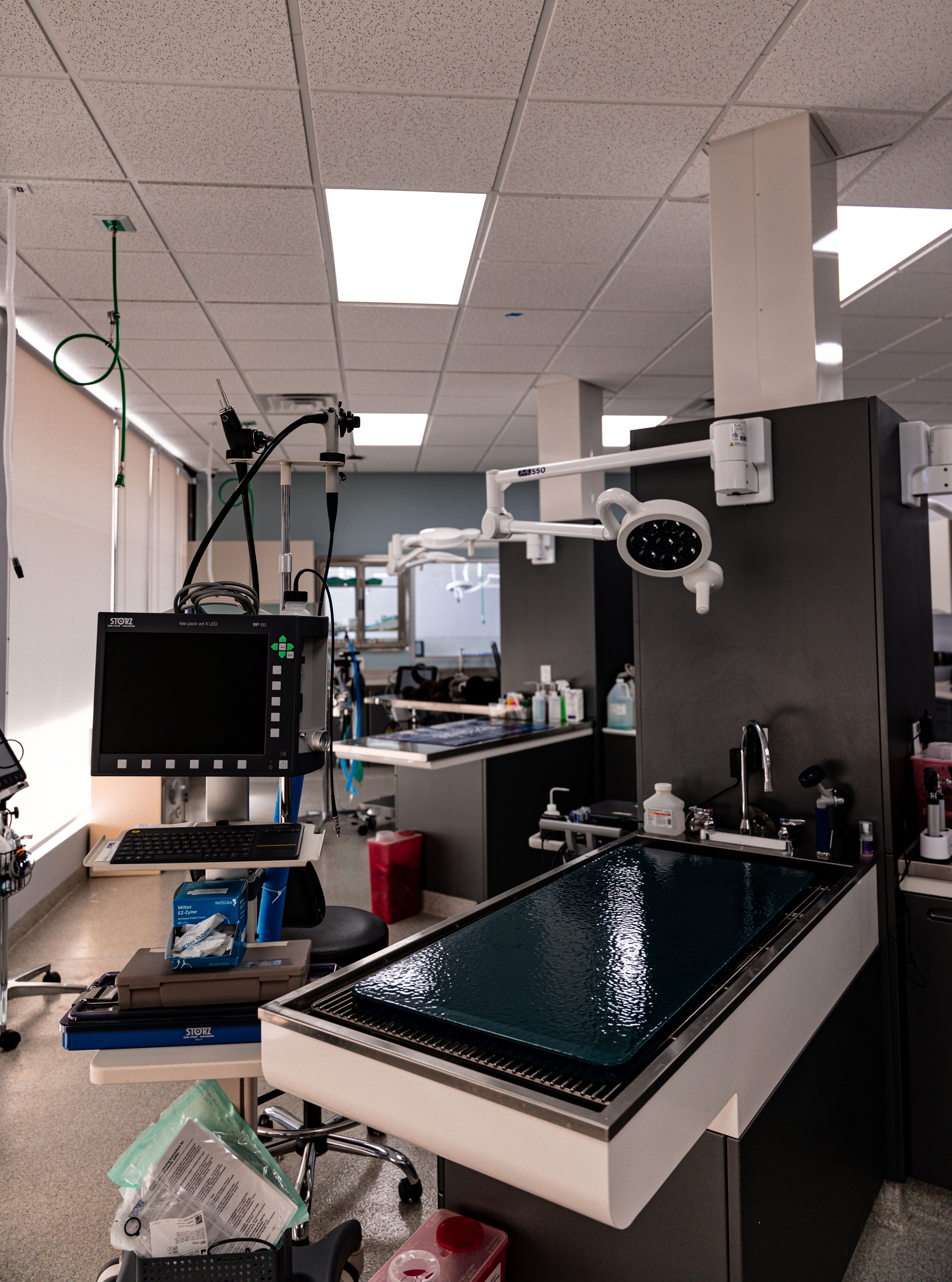 Treatment Area at ABQ Petcare Hospital