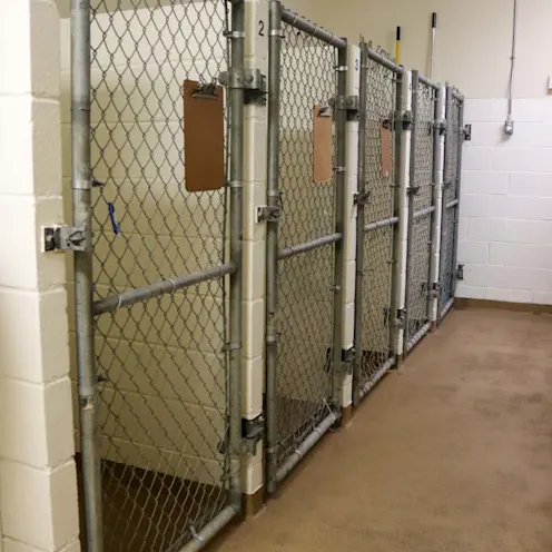 Dog Kennels Dog Kennels