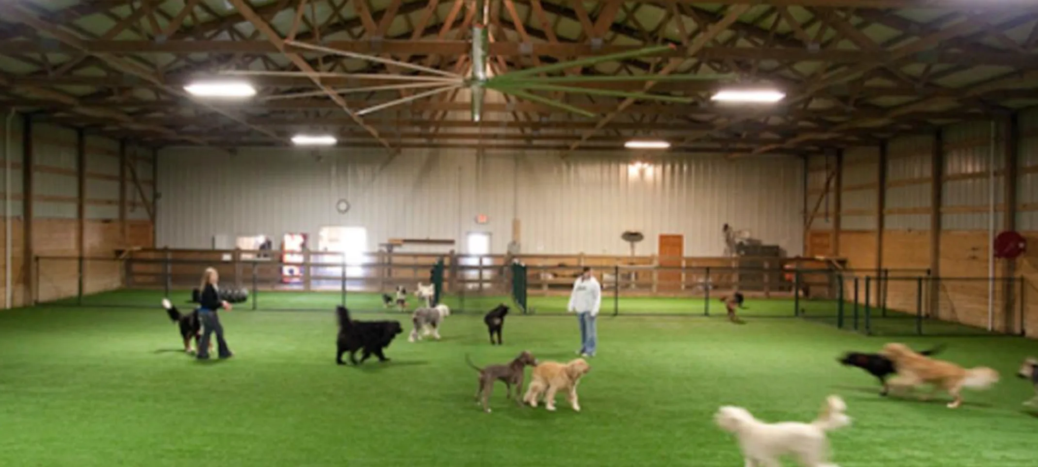 The play area inside at The Pet Ranch