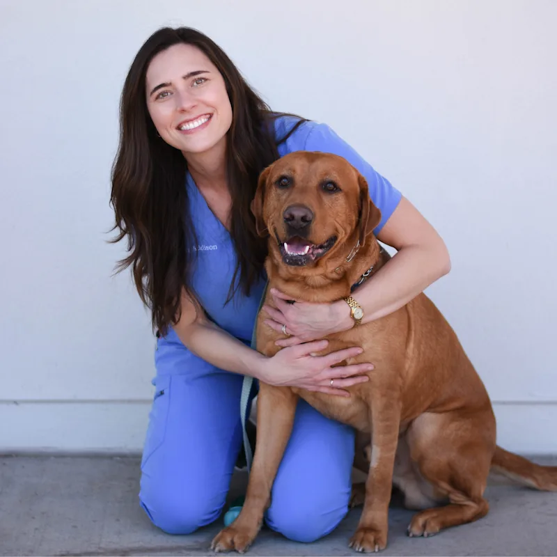 Meredith Addison with a brown/white dog Meredith Addison with a brown/white dog
