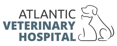 Atlantic Veterinary Hospital Logo Atlantic Veterinary Hospital Logo