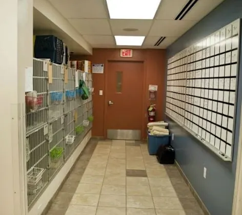 Inside the in-patient room Inside the in-patient room