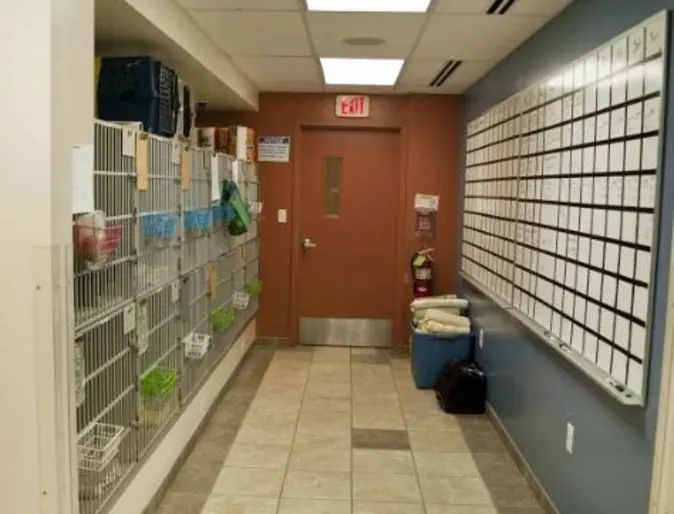 Inside the in-patient room