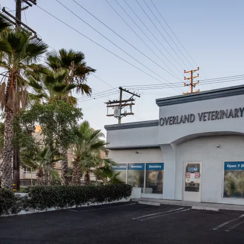 Overland Veterinary Clinic 1070 - Building Exterior 