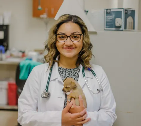 Veterinarian holding a tiny puppy.