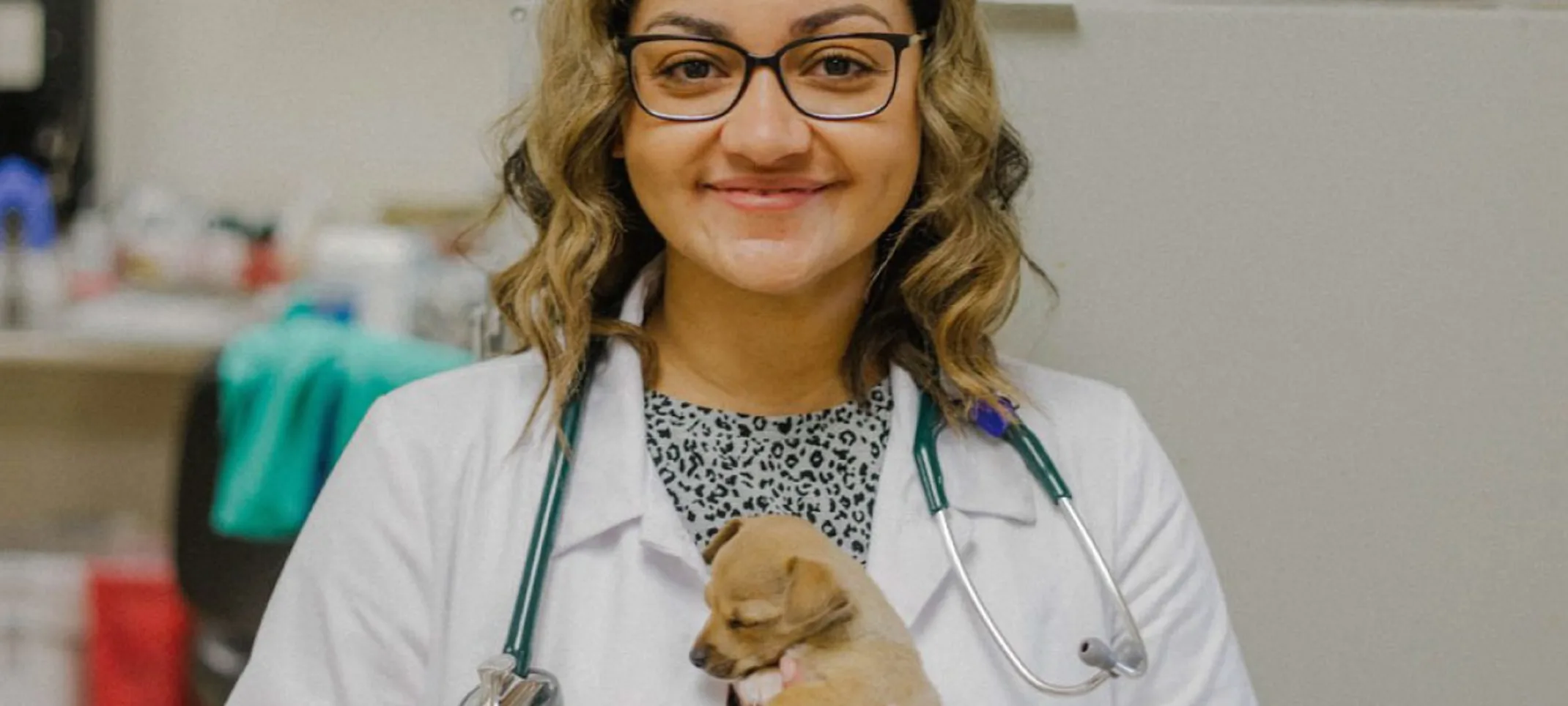 Veterinarian holding a tiny puppy.