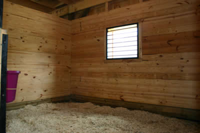 Six Stall Barn interior