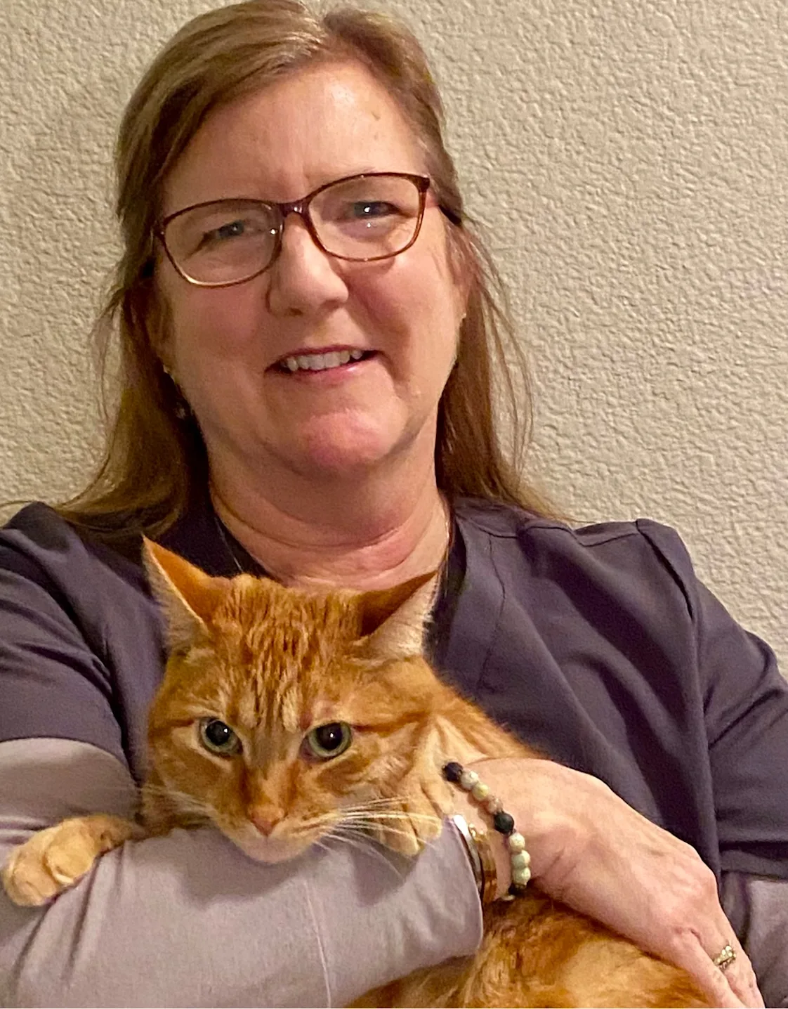 Arbor View Veterinary Clinic Shannon Arbor View Veterinary Clinic Shannon