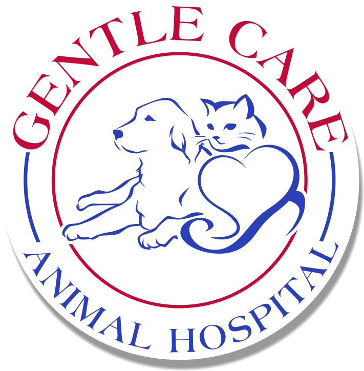 Veterinary Care in Memphis, TN | Gentle Care Animal Hospital