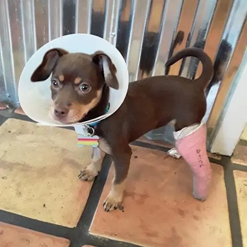 Cast and cone Cast and cone