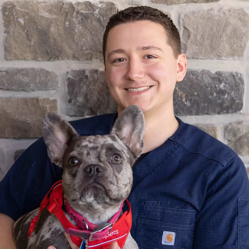 McCauley Staff Andrew McCauley Staff Andrew