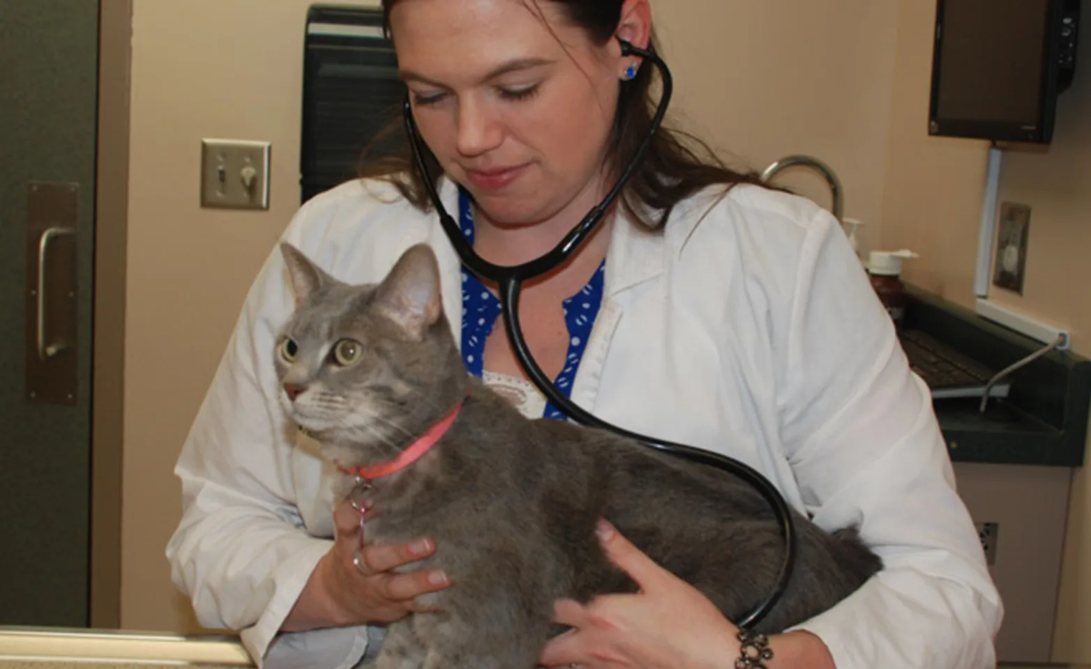 Cat with Vet