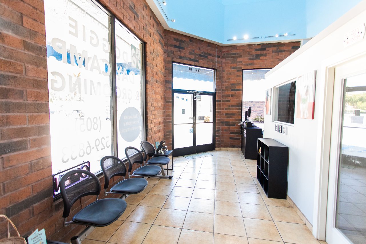 Arroyo Vista Veterinary Hospital Waiting Area