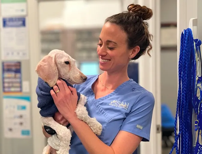 Metairie Small Animal Hospital partners with rescue to save thousands of animals in Louisiana Metairie Small Animal Hospital partners with rescue to save thousands of animals in Louisiana