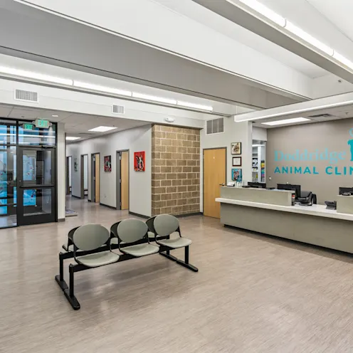 Alternate View of Lobby & Waiting Area Alternate View of Lobby & Waiting Area