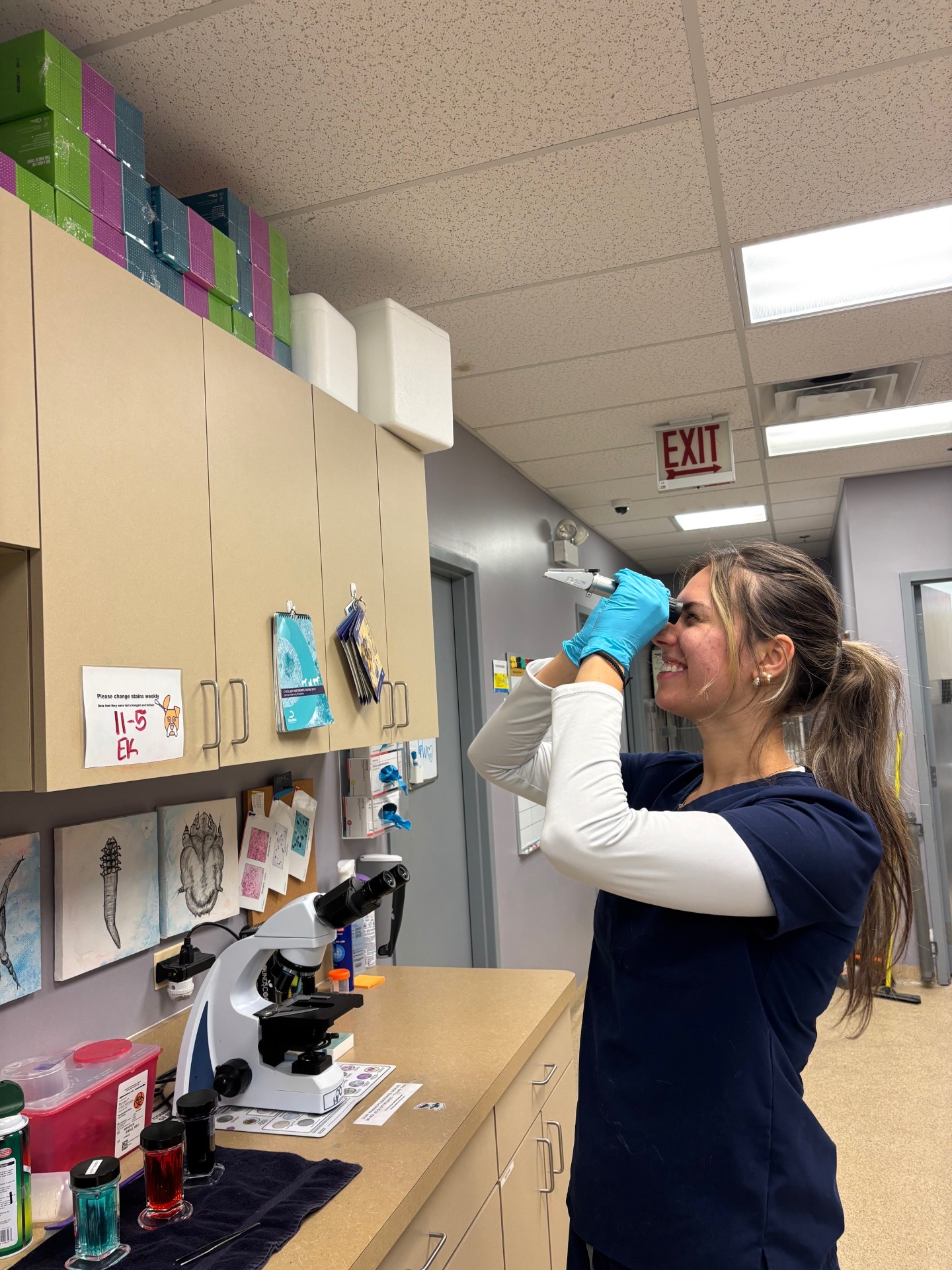 Technician reading USG results