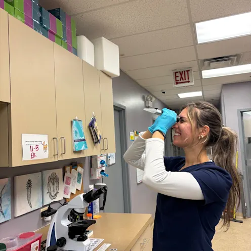 Technician reading USG results Technician reading USG results