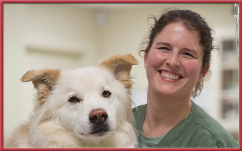 Stoney Brook Veterinary Hospital staff smiling with dog