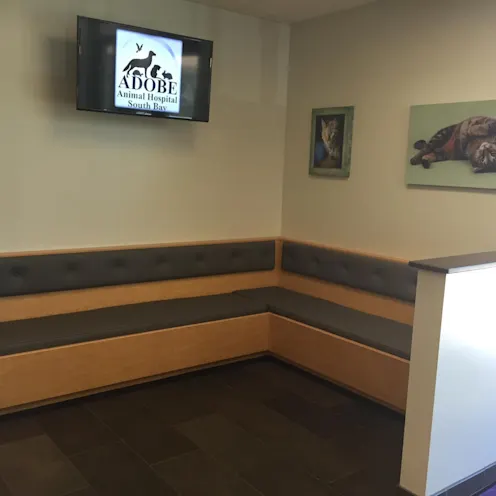 Waiting Area Waiting Area