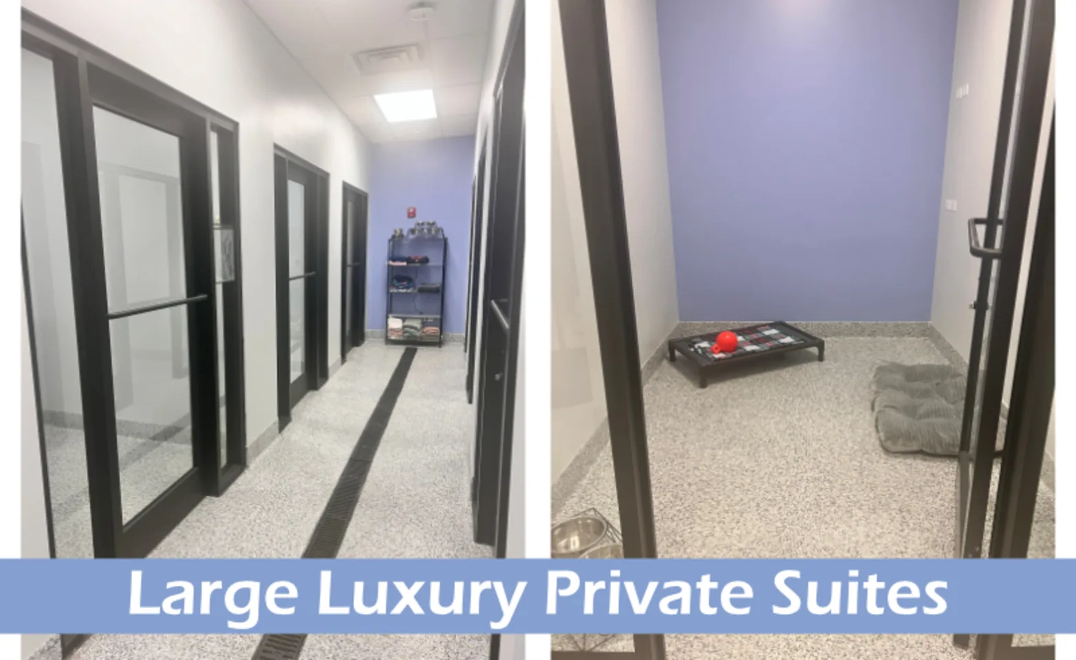 Large Luxury Private Suites Large Luxury Private Suites