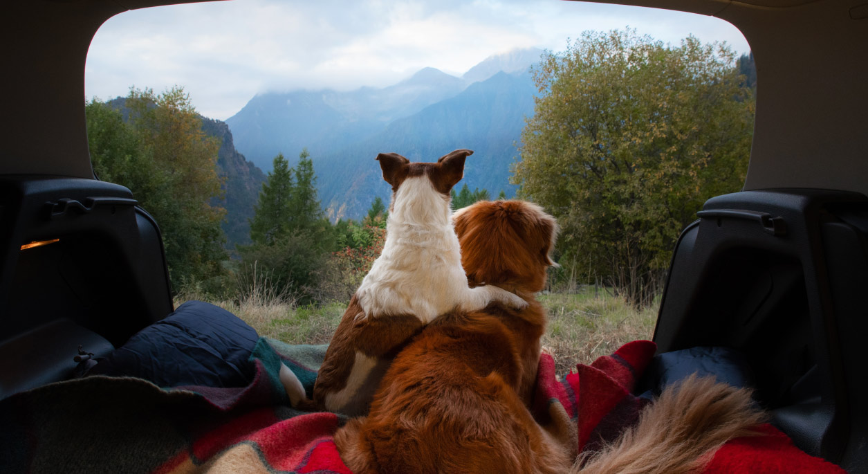 Contact Us (Multi-location) Jotform Template