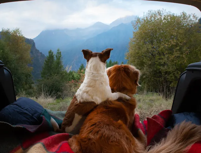 Contact Us (Multi-location) Jotform Template Contact Us (Multi-location) Jotform Template