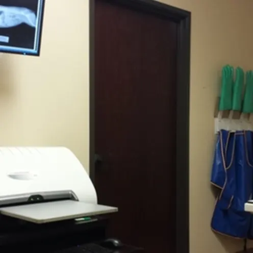 Animal Medical and Surgical Hospital of Frisco Radiology Room