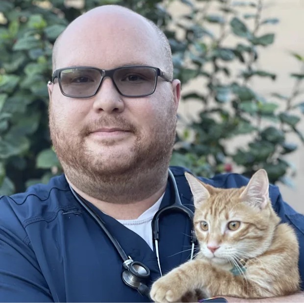 Joseph Miranda, CVT, RVT, LVT